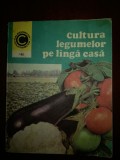 Cultura legumelor pe langa casa nr. 140