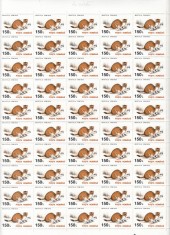 ROMANIA 1993 FAUNA PROTEJATA LP 1318 VALOAREA 150 LEI HARTIE ALBA CRETATA FARA FILIGRAN COALA 50 TIMBRE STARE MNH
