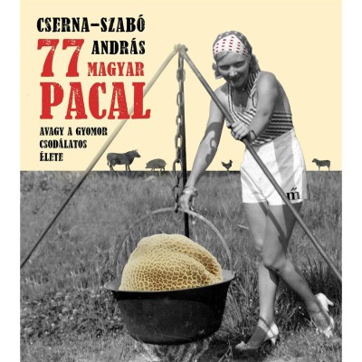 77 magyar pacal - Avagy a gyomor csod&amp;aacute;latos &amp;eacute;lete - Cserna-Szab&amp;oacute; Andr&amp;aacute;s foto