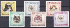 DB1 Fauna domestica Pisici Ras al Khaima 6 v. MNH foto