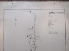 Harta Slanic Prahova 1943 foto