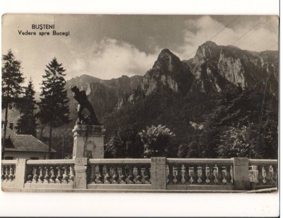 CPI B 10867 CARTE POSTALA - BUSTENI. VEDERE SPRE BUCEGU, RPR foto