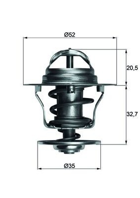 MAHLE TX 12 88D termostat,lichid racire foto