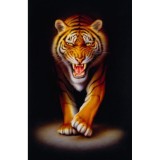 Puzzle Tigru 500 piese, Jad
