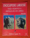 Viata salbatica a animalelor din Africa - Elefantul Rinocerul