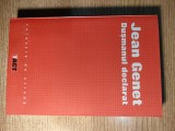 Jean Genet - Dusmanul declarat - texte si interviuri (Editura Tact, 2004)
