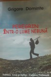 Peregrin &icirc;ntr-o lume nebună - Grigore Dominte