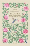 Floarea intunecata (vol. 47), Litera