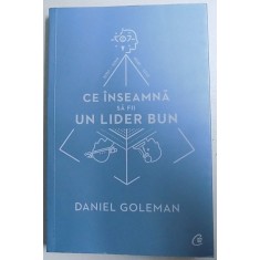 CE INSEAMNA SA FII UN LIDER BUN - DE CE ESTE IMPORTANTA INTELIGENTA EMOTIONALA de DANIEL GOLEMAN , 2017
