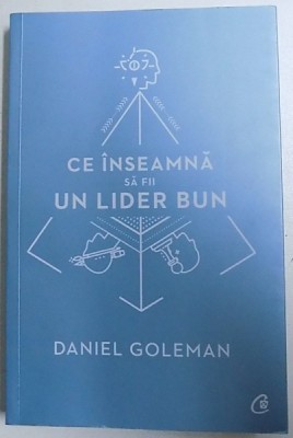 CE INSEAMNA SA FII UN LIDER BUN - DE CE ESTE IMPORTANTA INTELIGENTA EMOTIONALA de DANIEL GOLEMAN , 2017 foto