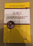 Dr.Steve W. PRICE - AURUL GOSPODARIEI ( Curtea Veche, 2006 )