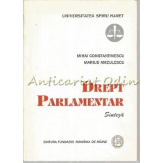 Drept Parlamentar. Sinteza - Mihai Constantinescu, Marius Amzulescu