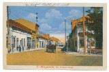 3590 - TURNU-MAGURELE, Teleorman, Romania - old postcard - used - 1918, Circulata, Printata