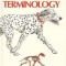 Barking: The Sound of a Language