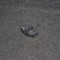 Buton geam ușă dreapta față VW JETTA MK6 162, 163 2015 OEM: 7L6959855B 2149582