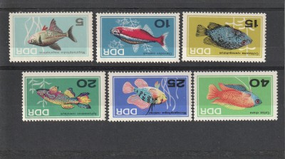 Pesti exotici,DDR. foto