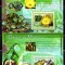 Guineea 2007, Flora, Minerale, serie neuzata, MNH