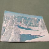 Cumpara ieftin CARTE POSTALA CIRCULATA PREDEAL -VEDERE SPRE MUNTII BUCEGI