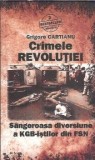 Crimele Revolutiei. Sangeroasa diversiune a KGB-istilor din FSN - Grigore Cartianu