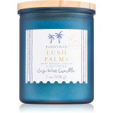 Paddywax Coastal Lush Palms lum&acirc;nare parfumată 198 g