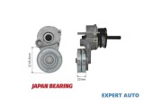 Rola intinzatoare curea alternator Opel Meriva A (2003-2010)[X03] #1
