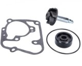 Kit reparatie pompa apa scuter Yamaha Majesty 125-180cc , 2T