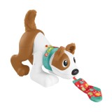 FISHER PRICE CATELUS CRAWL WITH ME