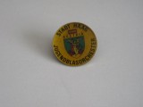 QW9 N8 12 - insigna - tematica istorica - Stadt Haag - Jugendblasorchester Austria, Europa