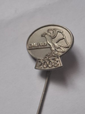 Insigna dlrg 2008 foto