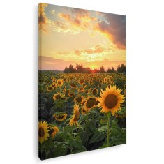 Tablou canvas peisaj apus floarea soarelui nuante galben, verde, albastru 1028 Tablou canvas pe panza CU RAMA 20x30 cm