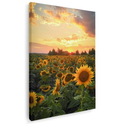 Tablou canvas peisaj apus floarea soarelui nuante galben, verde, albastru 1028 Tablou canvas pe panza CU RAMA 60x90 cm foto