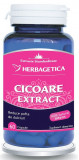 CICOARE EXTRACT 60cps HERBAGETICA