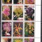 Surinam 2006 flori orhidee MI 2031-2042 kleib. MNH