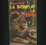 S-A &Icirc;NT&Acirc;MPLAT / &Icirc;NT&Icirc;MPLAT LA ZOO - MIHAIL COCIU
