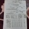 program Victoria Ineu - Rapid Arad