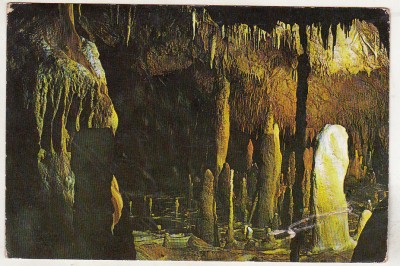 bnk cp Pestera Ursilor - Chiscau ( Jud Bihor ) - uzata foto