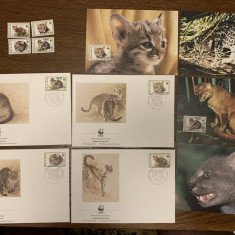 suriname - feline - serie 4 timbre MNH, 4 FDC, 4 maxime, fauna wwf
