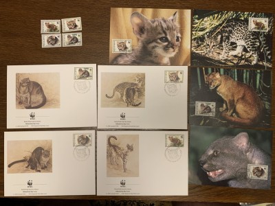 suriname - feline - serie 4 timbre MNH, 4 FDC, 4 maxime, fauna wwf foto