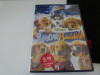 Snow buddies - dvd