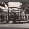 CPIB 19613 CARTE POSTALA - VEDERE DIN BUZIAS, RPR