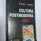 CULTURA POSTMODERNA -STEVEN CONNOR