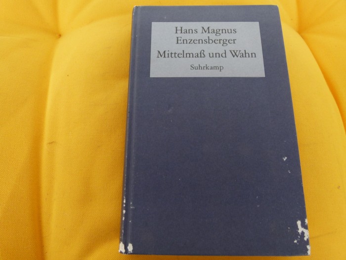 Mittelmas und Wahn - Enzensberger