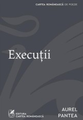 Execuții - Paperback brosat - Aurel Pantea - Cartea Rom&acirc;nească | Art