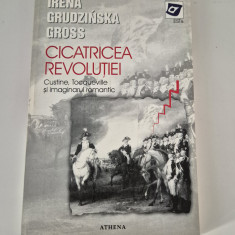 Istorie Irena Grudzinska Gross Cicatricea revolutiei