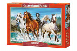 Puzzle 2000 piese Call of Nature, castorland