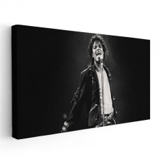 Tablou afis Michael Jackson cantaret 2351 Tablou canvas pe panza CU RAMA 60x120 cm