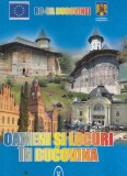 AS - Oameni si locuri in Bucovina, foi vinile, colorate