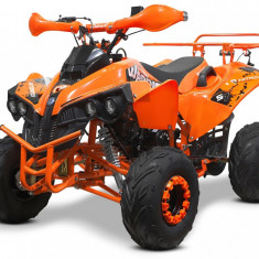 Atv Warrior 125Cc