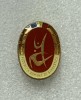 Insigna Federația Rom&acirc;nă de Gimnastică