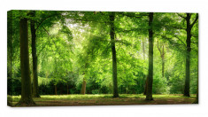 Tablou luminos in intuneric, GlowforHome, Padurea verde proaspata in atmosfera visatoare, 80 cm x 40 cm foto